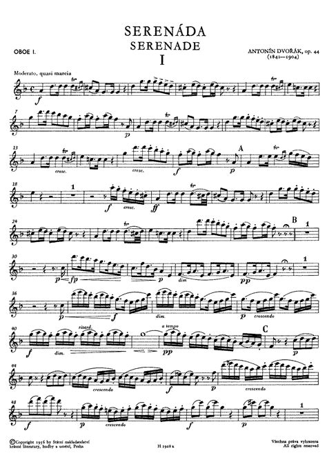 Wind Serenade In D Minor, Op. 44